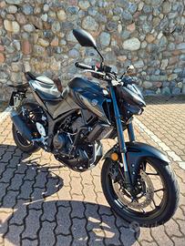 yamaha mt-03 2022