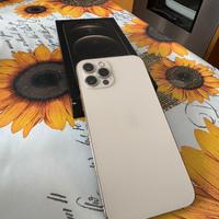 Iphone 12 Pro 256gb