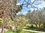 Immagine 15