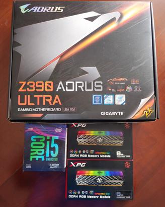 scheda madre, processore e ram. 