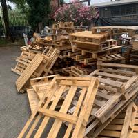 PALLET GRATUITE