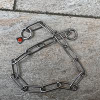 Correzione del collare di addestramento profession