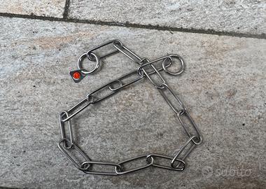 Correzione del collare di addestramento profession