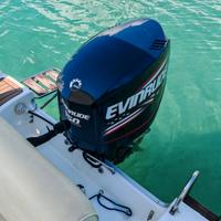 Evinrude 150 HO