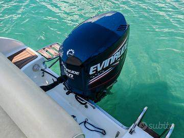 Evinrude 150 HO