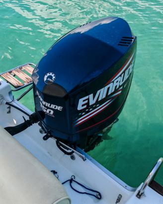 Evinrude 150 HO