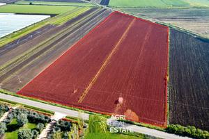 Terreno agricolo 4 ettari fronte strada con pozzo