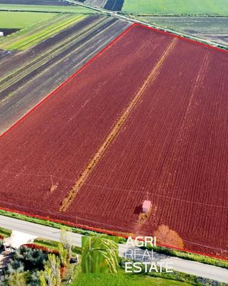 Terreno agricolo 4 ettari fronte strada con pozzo