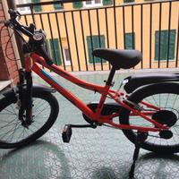 Bicicletta