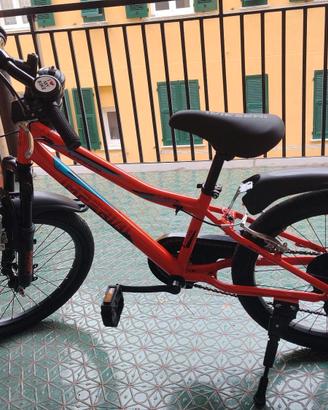 Bicicletta