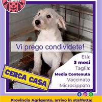 A Natale regala una casa