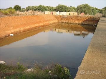 AZIENDA AGRICOLA Ha 7