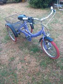bicicletta triciclo 