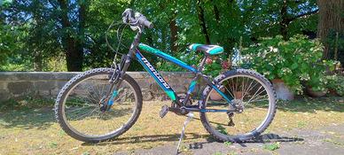 bicicletta ragazzo