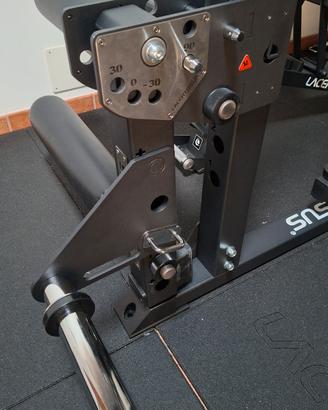 Leg Extension / Curl Lacertosus 