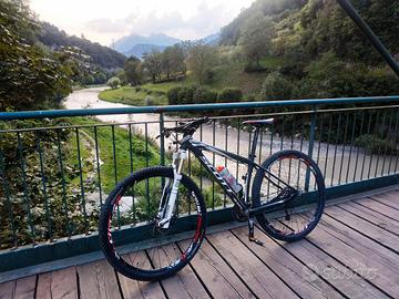 bicicletta MTB