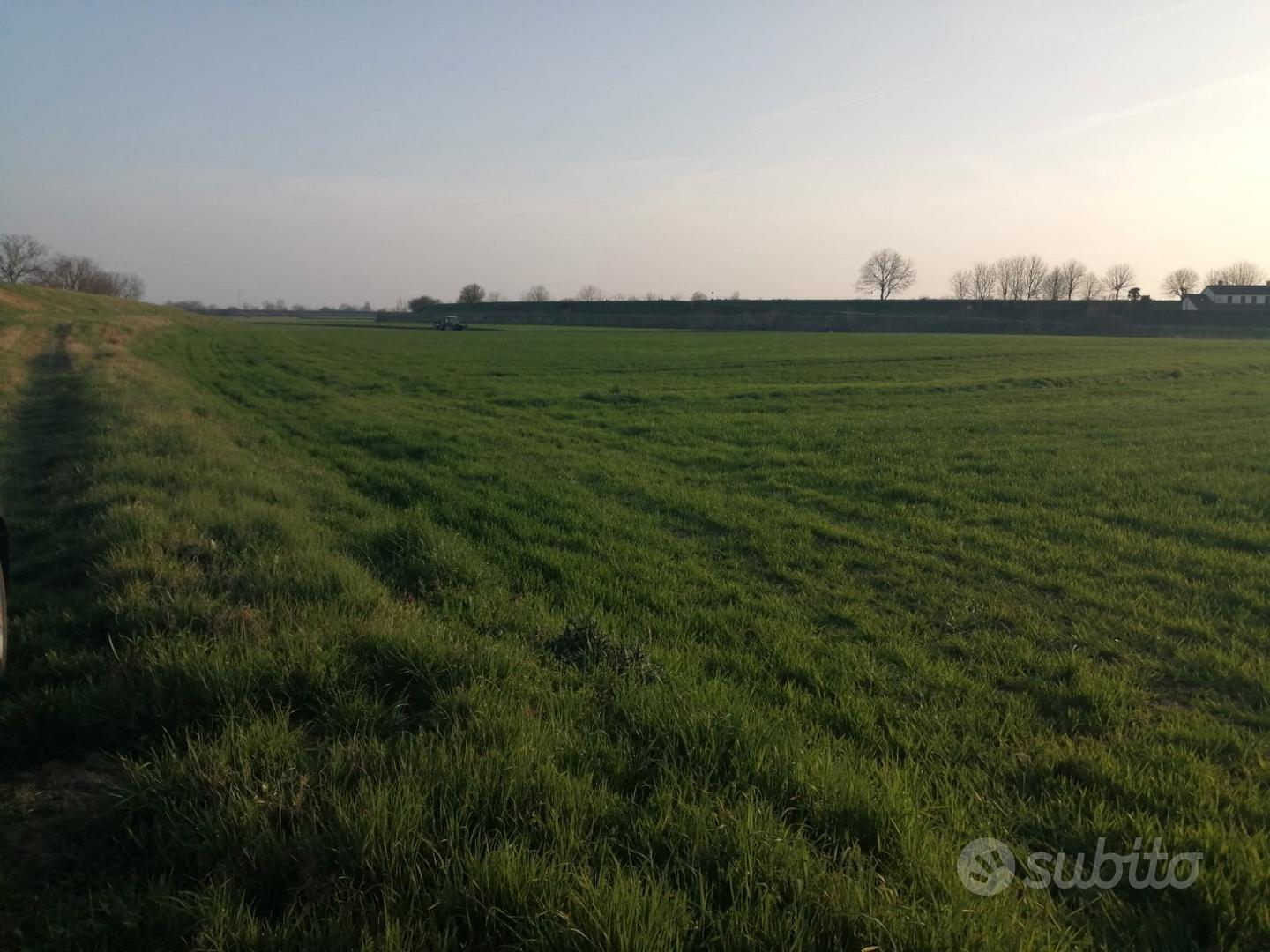 Terreno agricolo - Altro