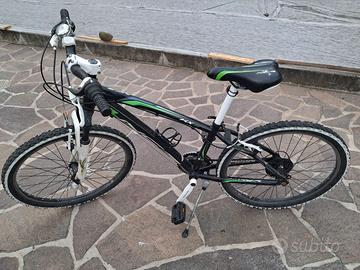 rampichino