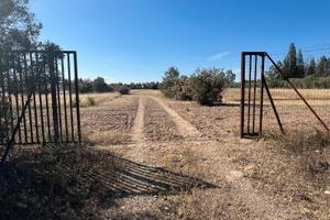 Ex Azienda Agricola 60mila metri quadri