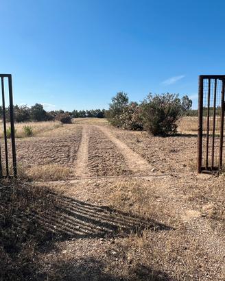 Ex Azienda Agricola 60mila metri quadri