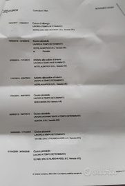 Pizzaiolo con esperienza