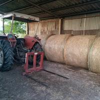 Rotoballe fienagione 2025