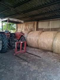 Rotoballe fienagione 2025