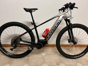 Bici e-bike montanbike