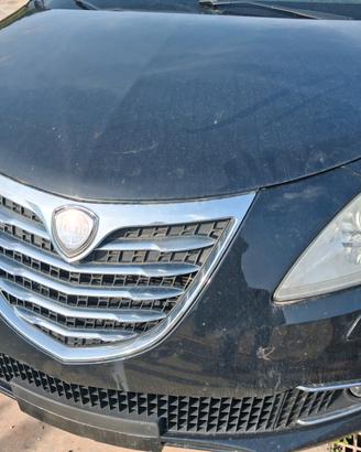 MUSATA COMPLETA + KIT RADIATORI LANCIA YPSILON DAL