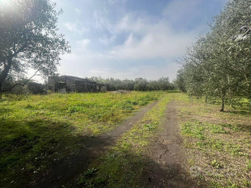 Terreno di 13500 m² a Terzigno - Vista 3