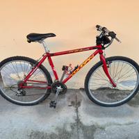 Bicicletta MTB Lee Cougan Vintage da sistemare