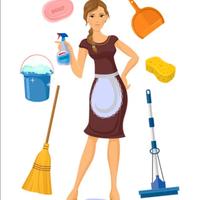 Domestica