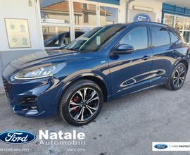 Ford Kuga 2.0 EcoBlue 150CV aut. AWD ST-Line X