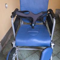 sedia per disabili 