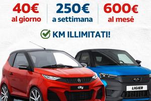 Noleggio Minicar
