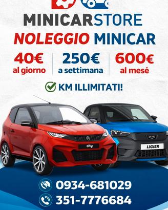 Noleggio Minicar