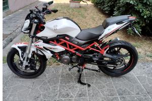 BENELLI BN 125