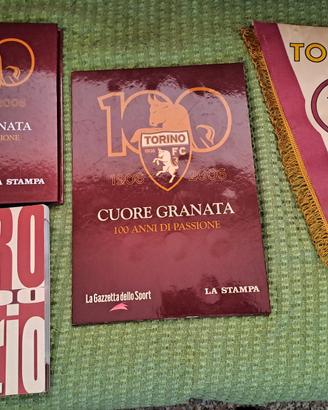 Monete Torino F.C. Toro calcio