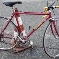 Specialissima Colnago