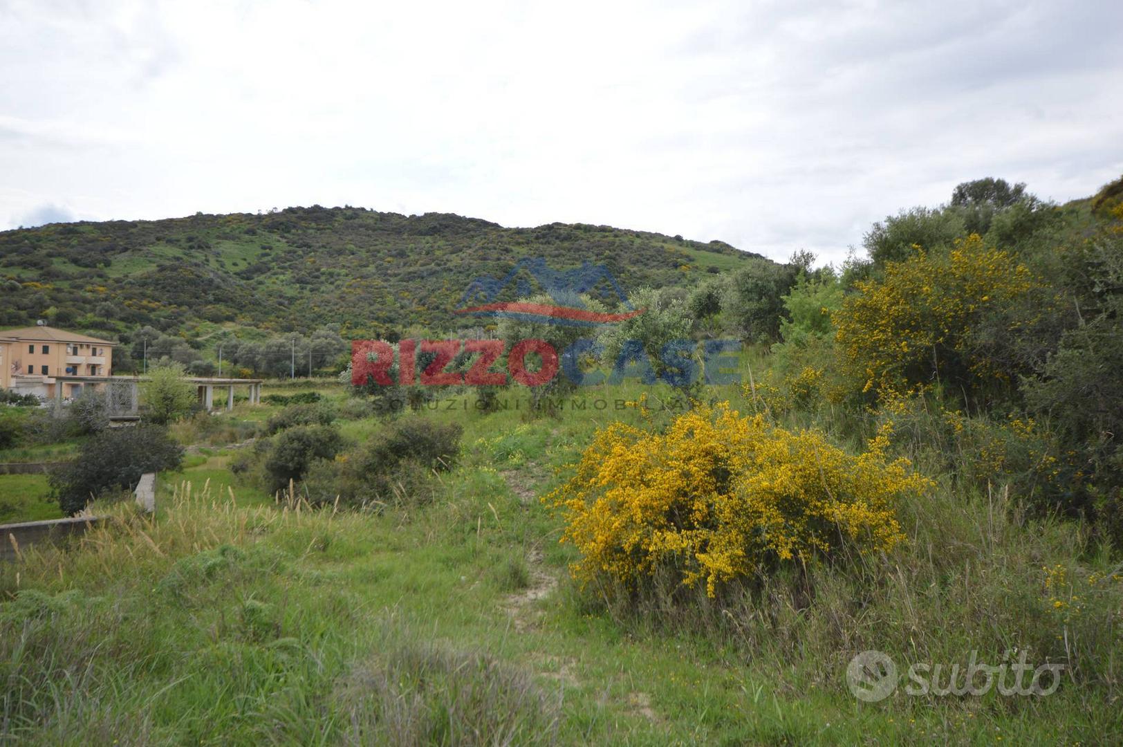 Terreno edificabile - Mandatoriccio - Vista 3