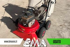 Aspirafoglie a spinta Agrinova usato