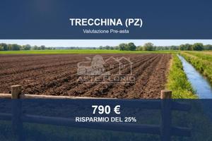 Immobile in asta di 1471 m² a Trecchina