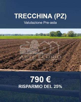 Immobile in asta di 1471 m² a Trecchina
