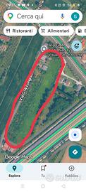Terreno agricolo comodato gratuito