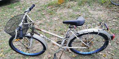 Rampichino Wilier Triestina Vintage