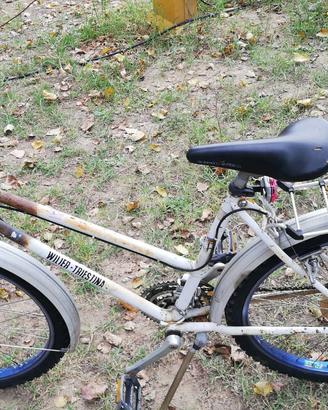 Rampichino Wilier Triestina Vintage