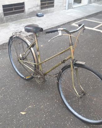 Bicicletta Donna 