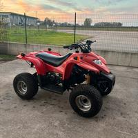 Quad adly 50 2t 2015