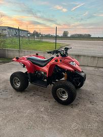 Quad adly 50 2t 2015