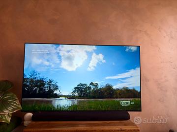 Tv Oled 4K Ultra HD Panasonic Z 80A 55
